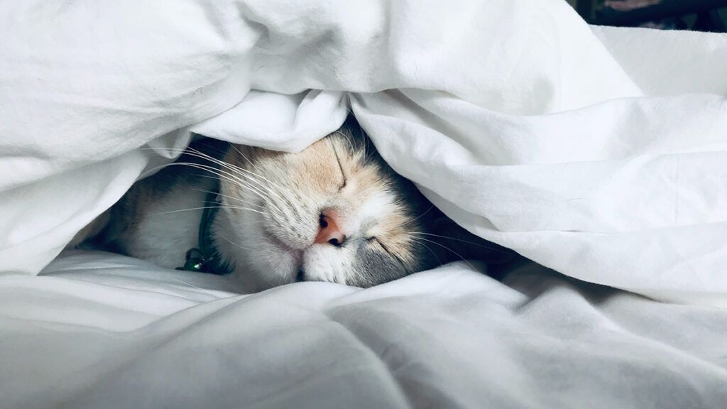 andare a dormire presto aumenta il rilassamento